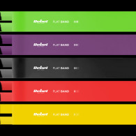 Set med latexgummiband för träning 2m - Flat Band LTs-1, 2,5-20 kg, 5 band, REBEL ACTIVE