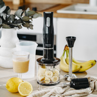 CR 4630 Handblender - set