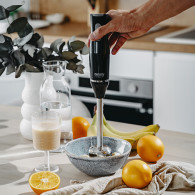 CR 4630 Handblender - set