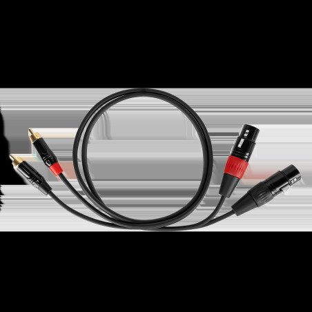 Kabelanslutningskabel Cabletech XLR - 2RCA 1m