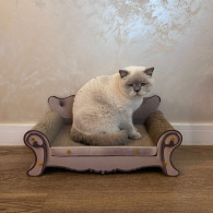 Kattklo - Purlov soffa 24285