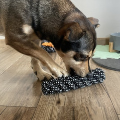 Leksakssats för hund - 10 st. Purlov 24388