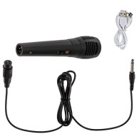 AD 1903 Bluetooth-högtalare med radio / karaokefunktion