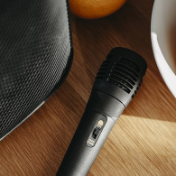 AD 1903 Bluetooth-högtalare med radio / karaokefunktion