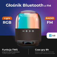 AD 1904 Bluetooth-högtalare med FM