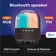 AD 1904 Bluetooth-högtalare med FM