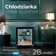 AD 8088 Termoelektrisk kylskåp - 28 liter