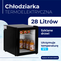 AD 8088 Termoelektrisk kylskåp - 28 liter