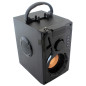 ZS53 Bluetooth-högtalare radio