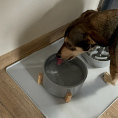 Silikonunderlägg för skålar Purlov 24295