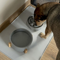 Silikonunderlägg för skålar Purlov 24295