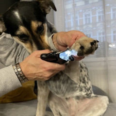 Klippare för hund/kattklor Purlov 24739