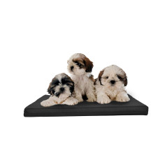 Sängbädd madrass för katt hund 45x30cm.