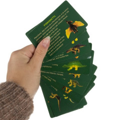 Dinosauriens ägg - utgrävning 24981