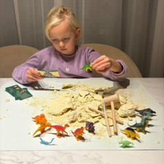 Dinosauriens ägg - utgrävning 24981