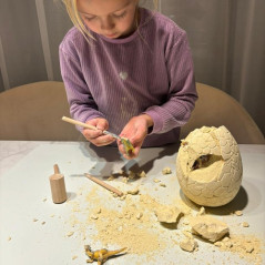Dinosauriens ägg - utgrävning 24981