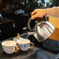 Vattenkokare av rostfritt stål med visselpipa 2L