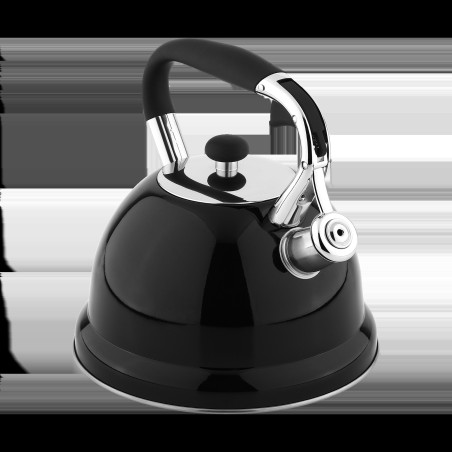 Vattenkokare av rostfritt stål med visselpipa, 3 liter.