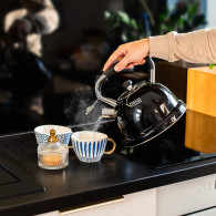 Vattenkokare av rostfritt stål med visselpipa, 3 liter.