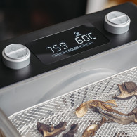 AD 6660 Svamp-, ört- och livsmedelstork - dehydrator
