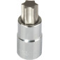 Bitonasadka 1/2'' torx t60 proline hängelement
