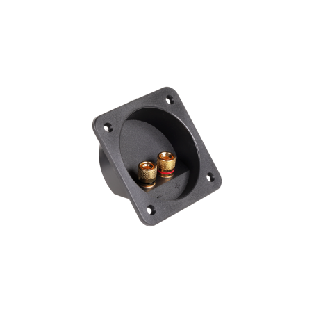 Högtalarterminal med två banankontakter