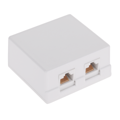 Abonnentuttag för dator x2 CAT.6