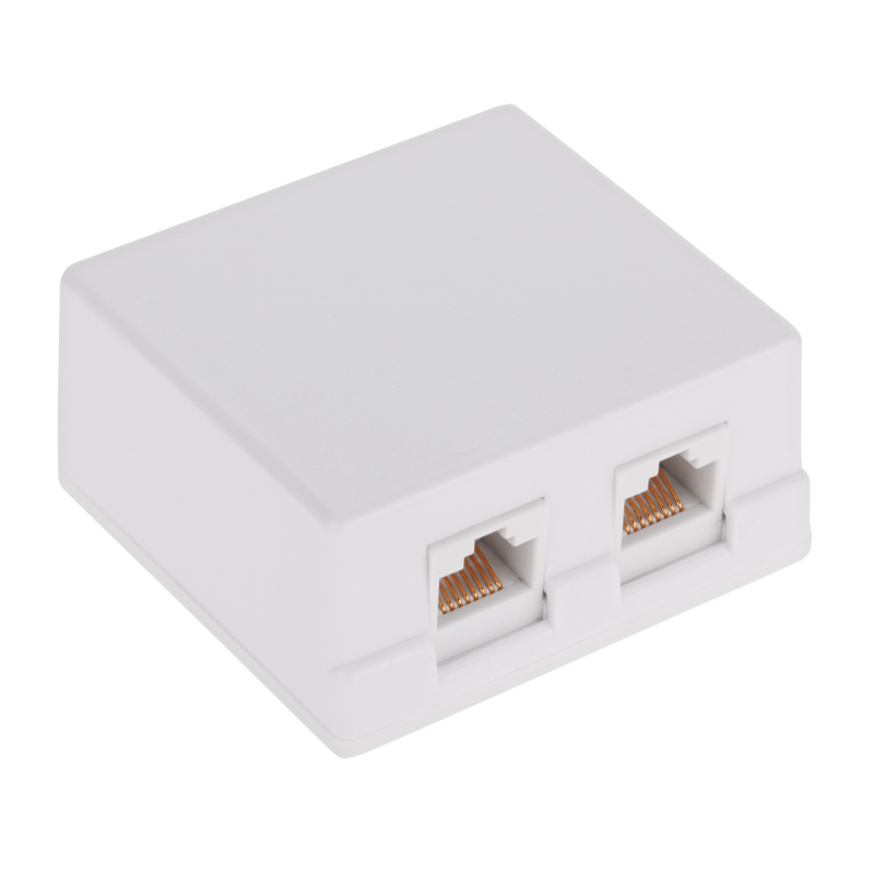 Abonnentuttag för dator x2 CAT.6