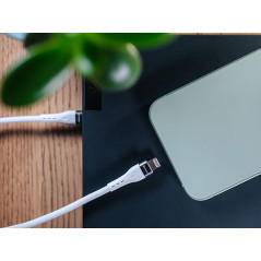 Kabel TRACER Typ C - Lightning 1m WH

Kabel TRACER Typ C - Lightning 1m WH