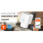 Trådlöst WiFi-uttag Tuya LTC GGW LXU414