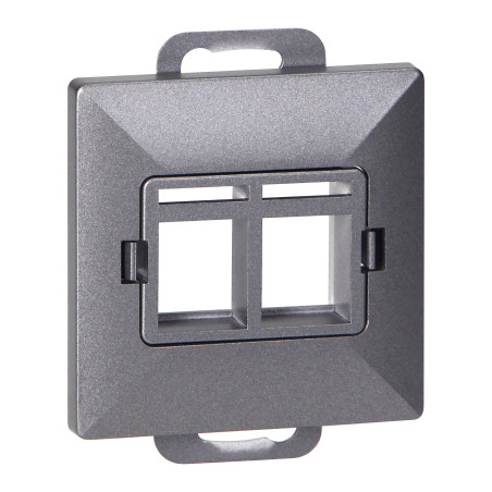 Frontpanel + 2xRJ45 Pearl, PC+ARJ45/P2, antracit