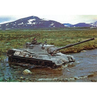 Modell av plastleopard 1 (2-4 produktionsbatch)