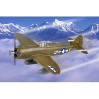 Åskknivsrygg P-47D