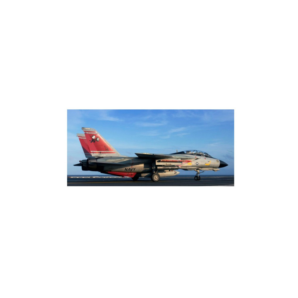 Modell av plast f-14d super tomcat