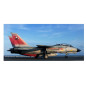 Modell av plast f-14d super tomcat