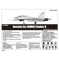 Ryska Su-30M KK Flanker G-jaktflygplan