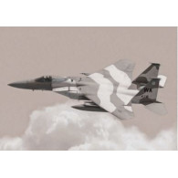 F-15C örn