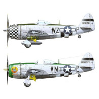 Modell i plast av P-47D Thunderbolt Bubbletop