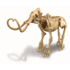 Vetenskapligt set för utgrävningar - mammut