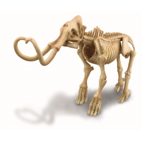 Vetenskapligt set för utgrävningar - mammut