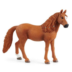 Föl stoet av tyska hästen.