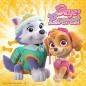 Pussel med 3x49 elementer Paw Patrol Everest och Skye