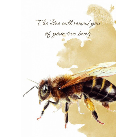 Tarotkort power animal-kort