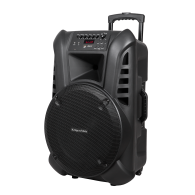 Aktywna kolumna głośnikowa (z 2 mikrofonami bezprzewodowymi UHF, SD, Bluetooth, FM, USB) 60 Watt