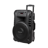 Aktiv högtalare (med 2 trådlösa UHF-mikrofoner, SD, Bluetooth, FM, USB) 40 watt