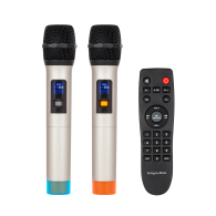 Aktiv högtalare (med 2 trådlösa UHF-mikrofoner, SD, Bluetooth, FM, USB) 40 watt