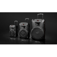 Aktywna kolumna głośnikowa (z 2 mikrofonami bezprzewodowymi UHF, SD, Bluetooth, FM, USB) 40 Watt
