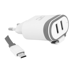 Nätadapter micro USB 2000 mA LXG276