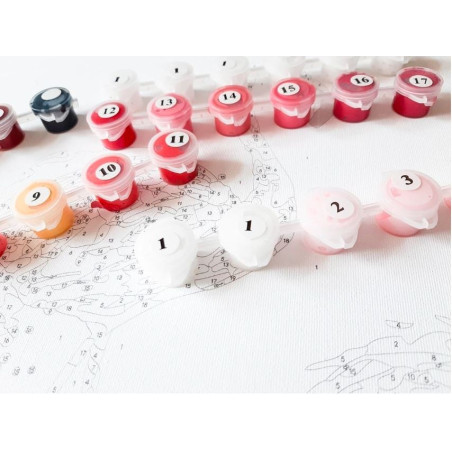 Målning efter nummer - en resenär från Kappadokien