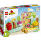 LEGO Duplo 10983 Ekologisk marknad